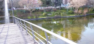 Habicasa Inmobiliaria. Inmobiliarias en Coslada.